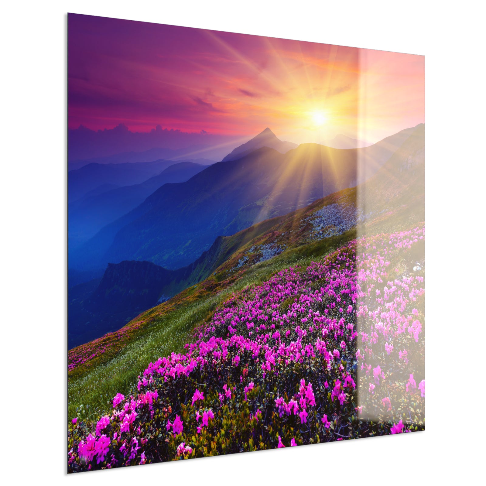 Deko Glas Wandbild Motiv 033 Sommerberg