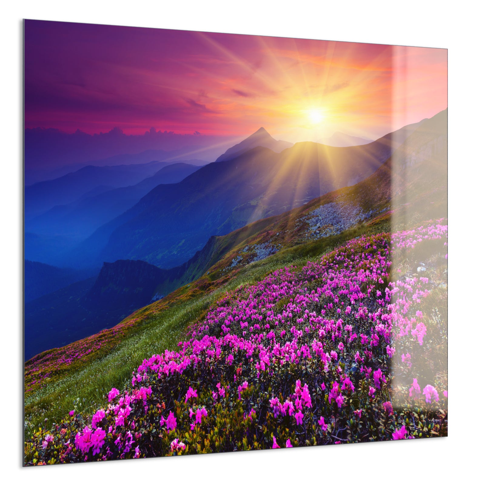 Deko Glas Wandbild Motiv 033 Sommerberg