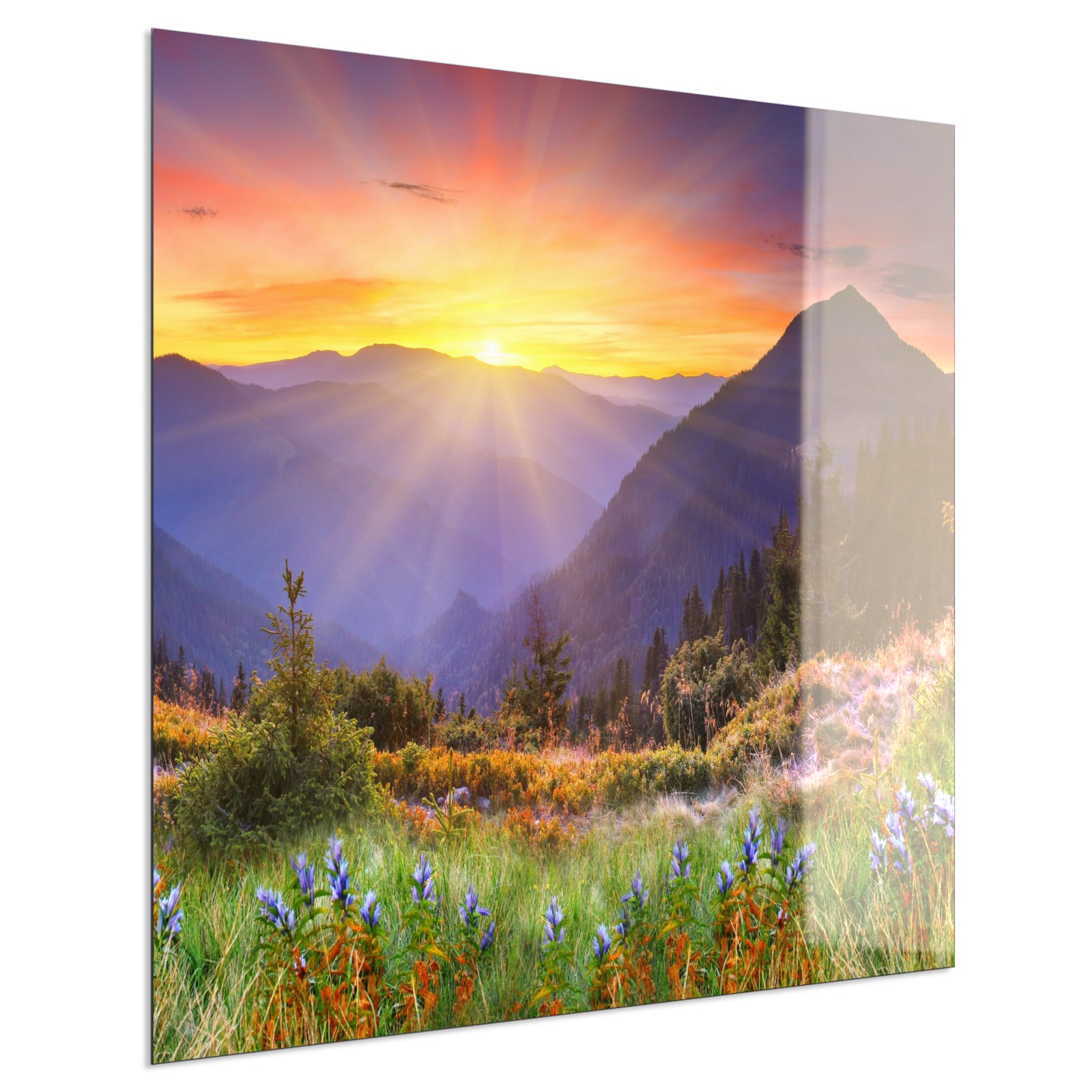 Deko Glas Wandbild Motiv 034 Sonnenuntergang