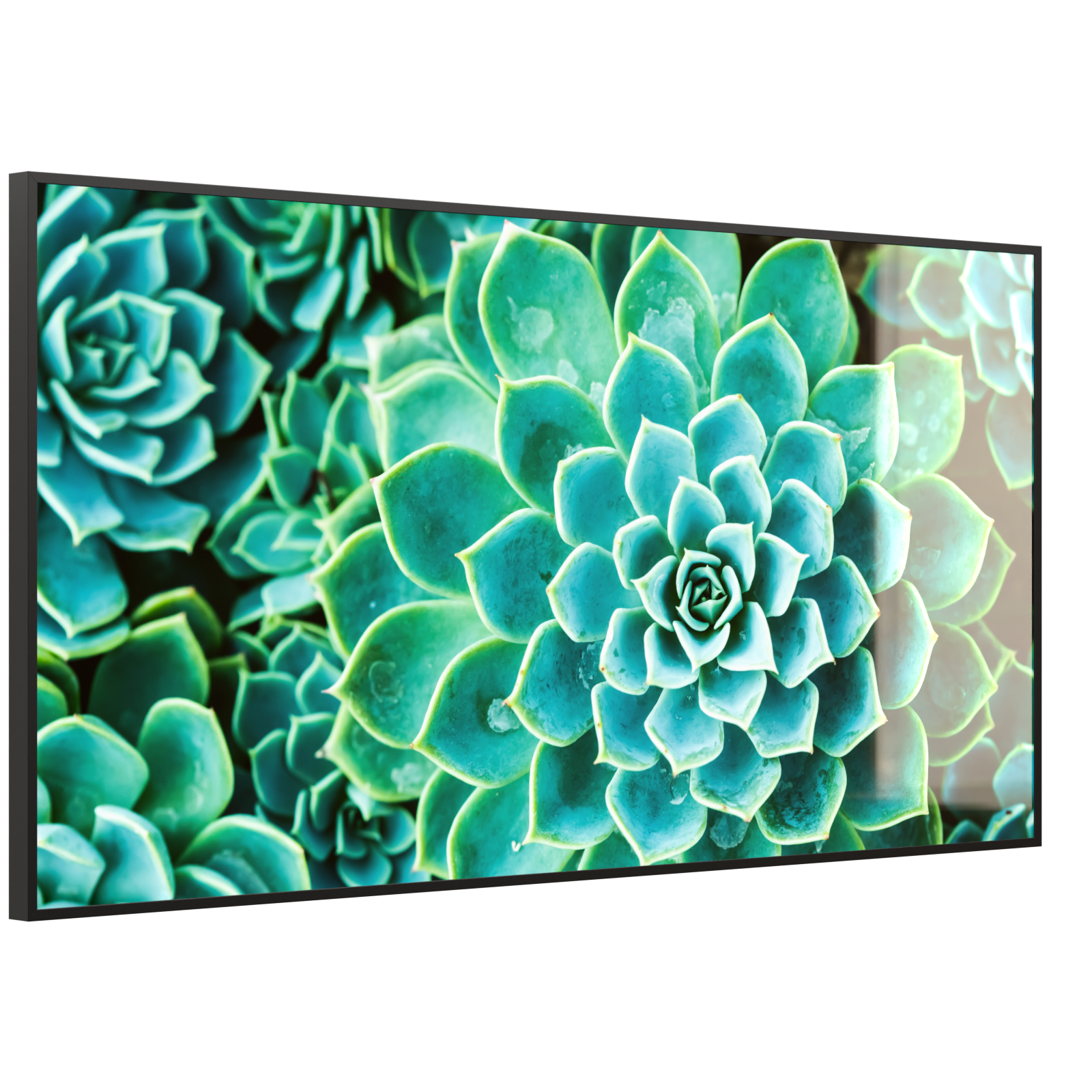 Deko Glas Wandbild Motiv 036 Kaktus in Queen