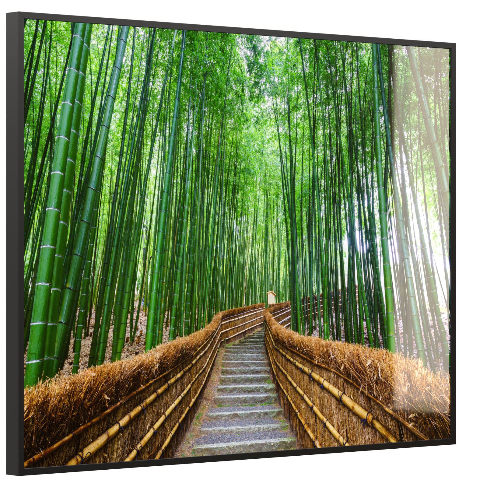 Deko Glas Wandbild Motiv 037 Bambus Wald