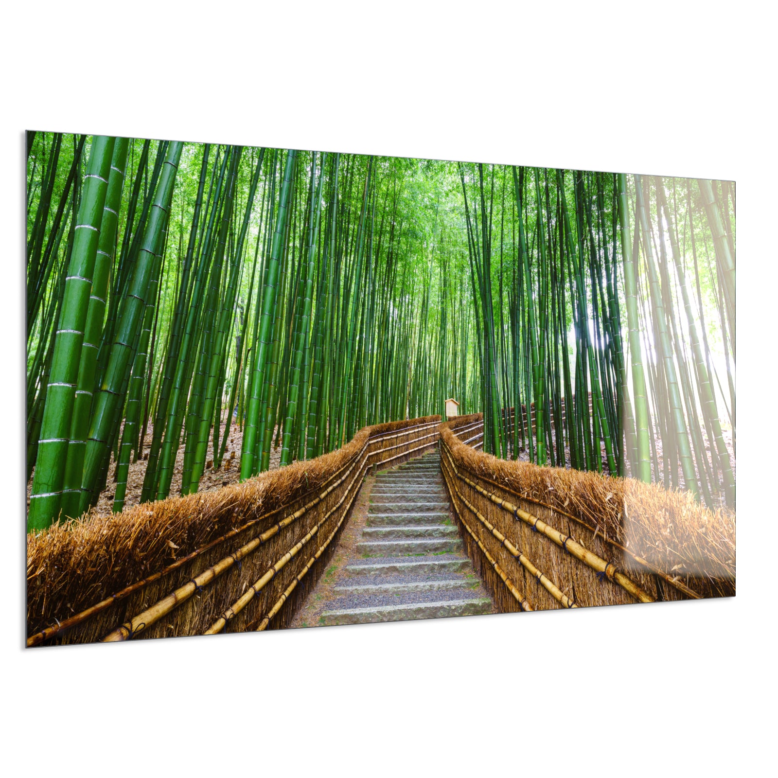 Deko Glas Wandbild Motiv 037 Bambus Wald