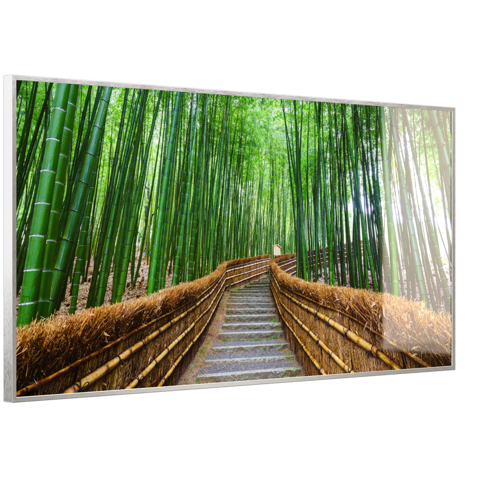 Deko Glas Wandbild Motiv 037 Bambus Wald