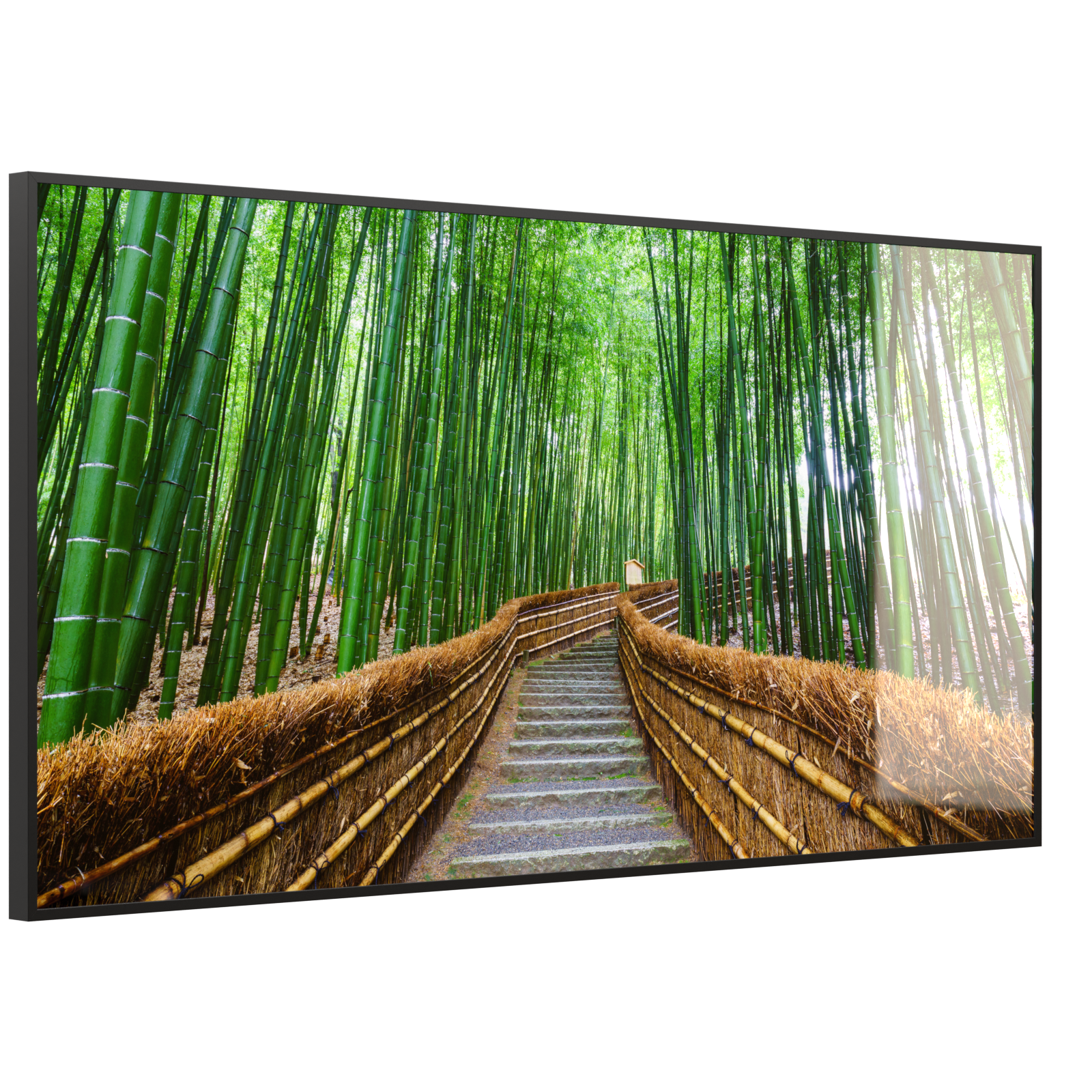 Deko Glas Wandbild Motiv 037 Bambus Wald