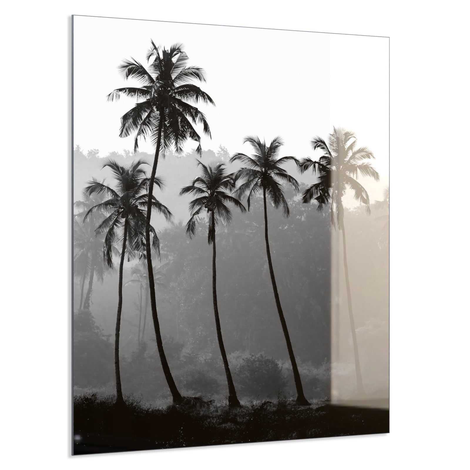 Deko Glas Wandbild Motiv 042H Palmen