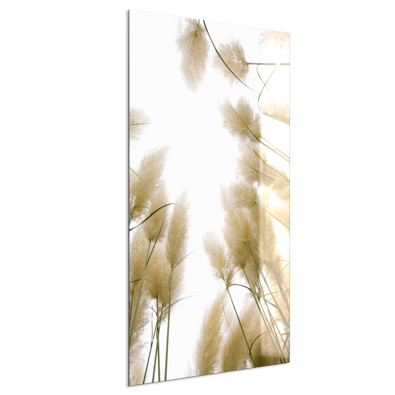 Deko Glas Wandbild Motiv 043H Röhricht