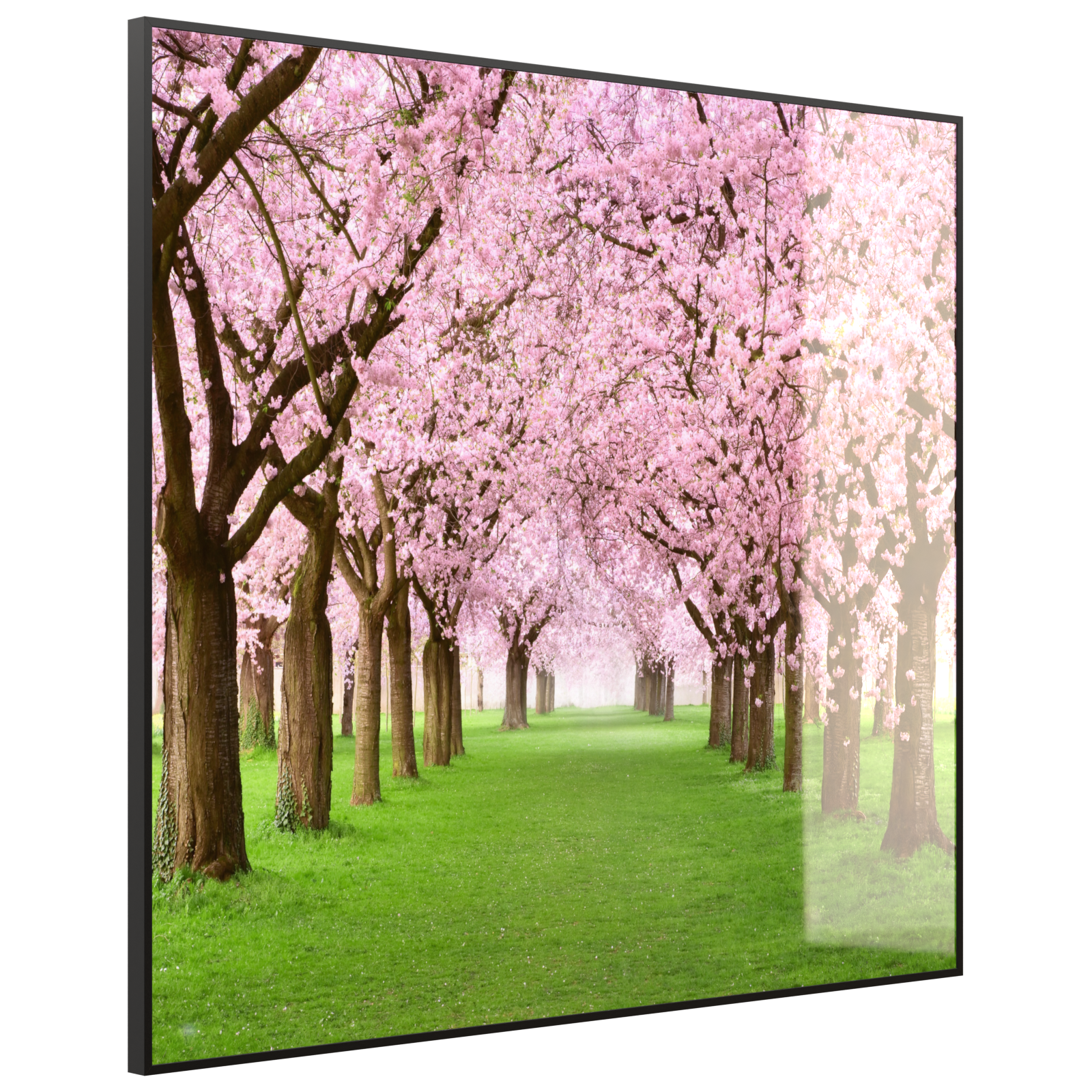 Deko Glas Wandbild Motiv 058 Kirschbäume Allee