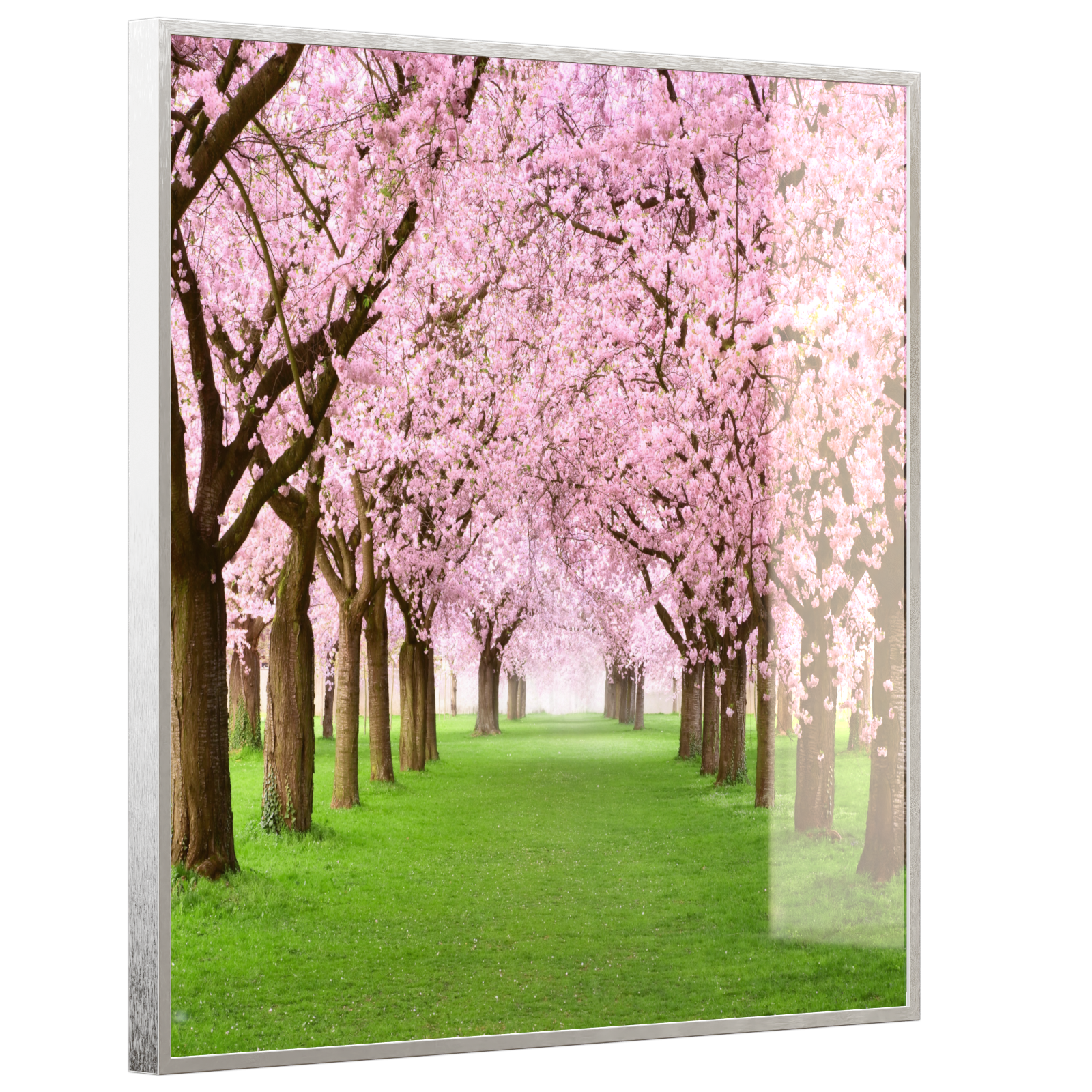 Deko Glas Wandbild Motiv 058 Kirschbäume Allee