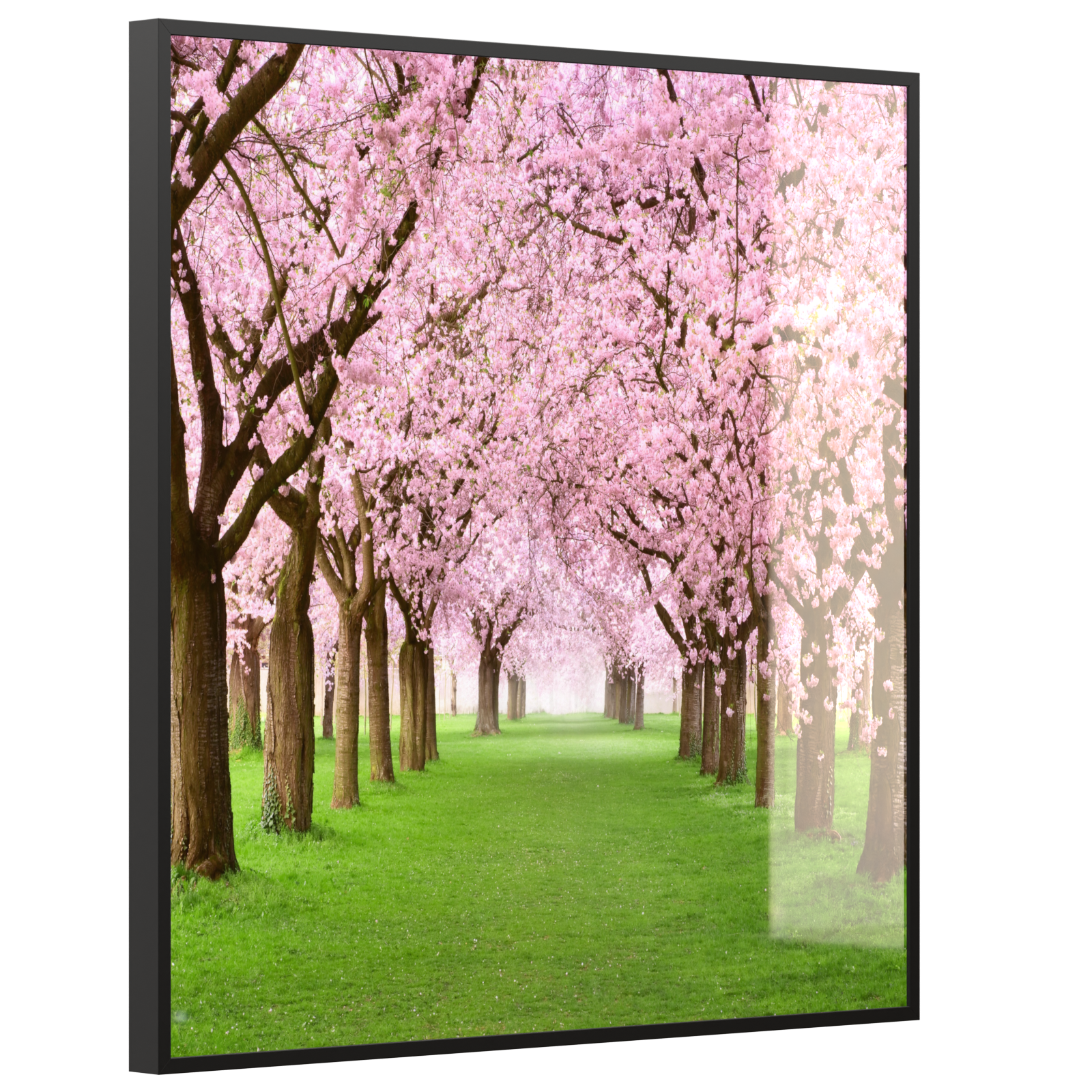 Deko Glas Wandbild Motiv 058 Kirschbäume Allee