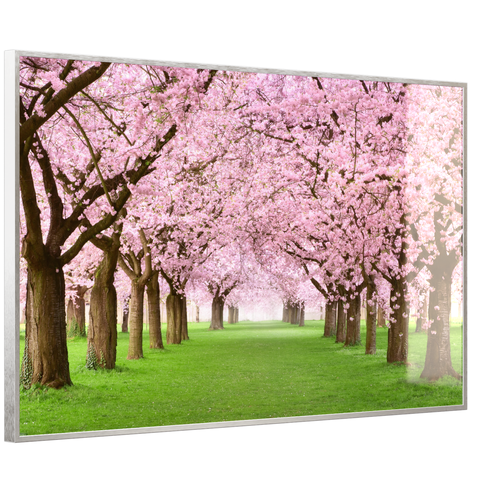 Deko Glas Wandbild Motiv 058 Kirschbäume Allee