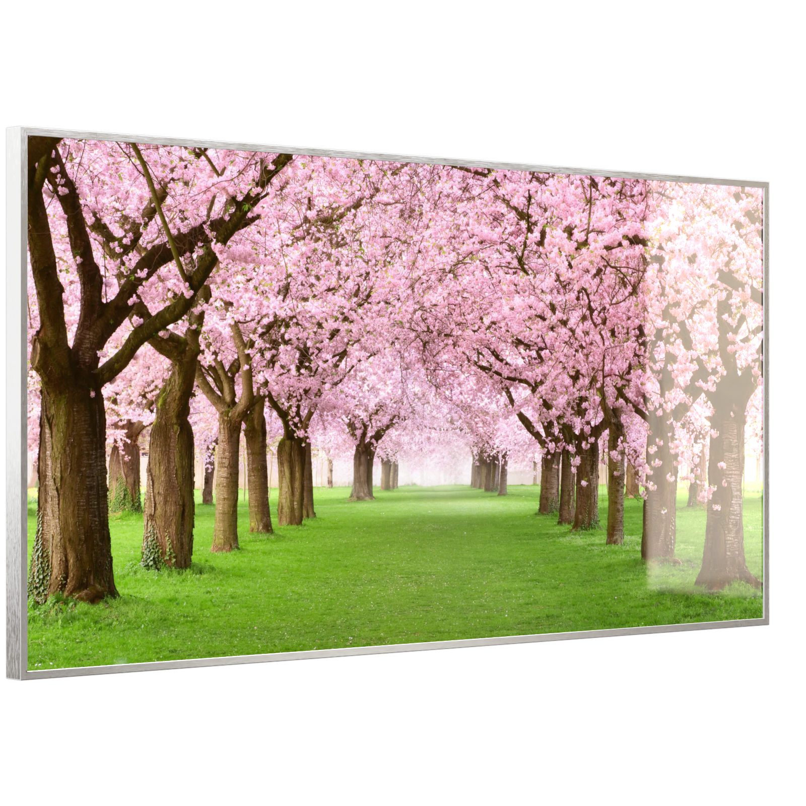 Deko Glas Wandbild Motiv 058 Kirschbäume Allee