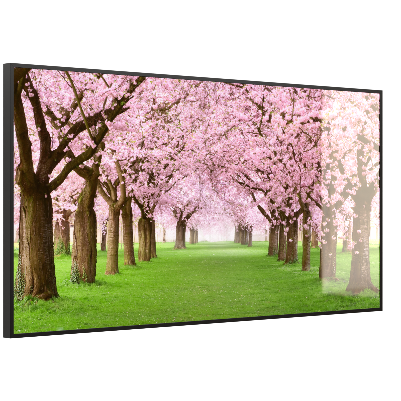 Deko Glas Wandbild Motiv 058 Kirschbäume Allee