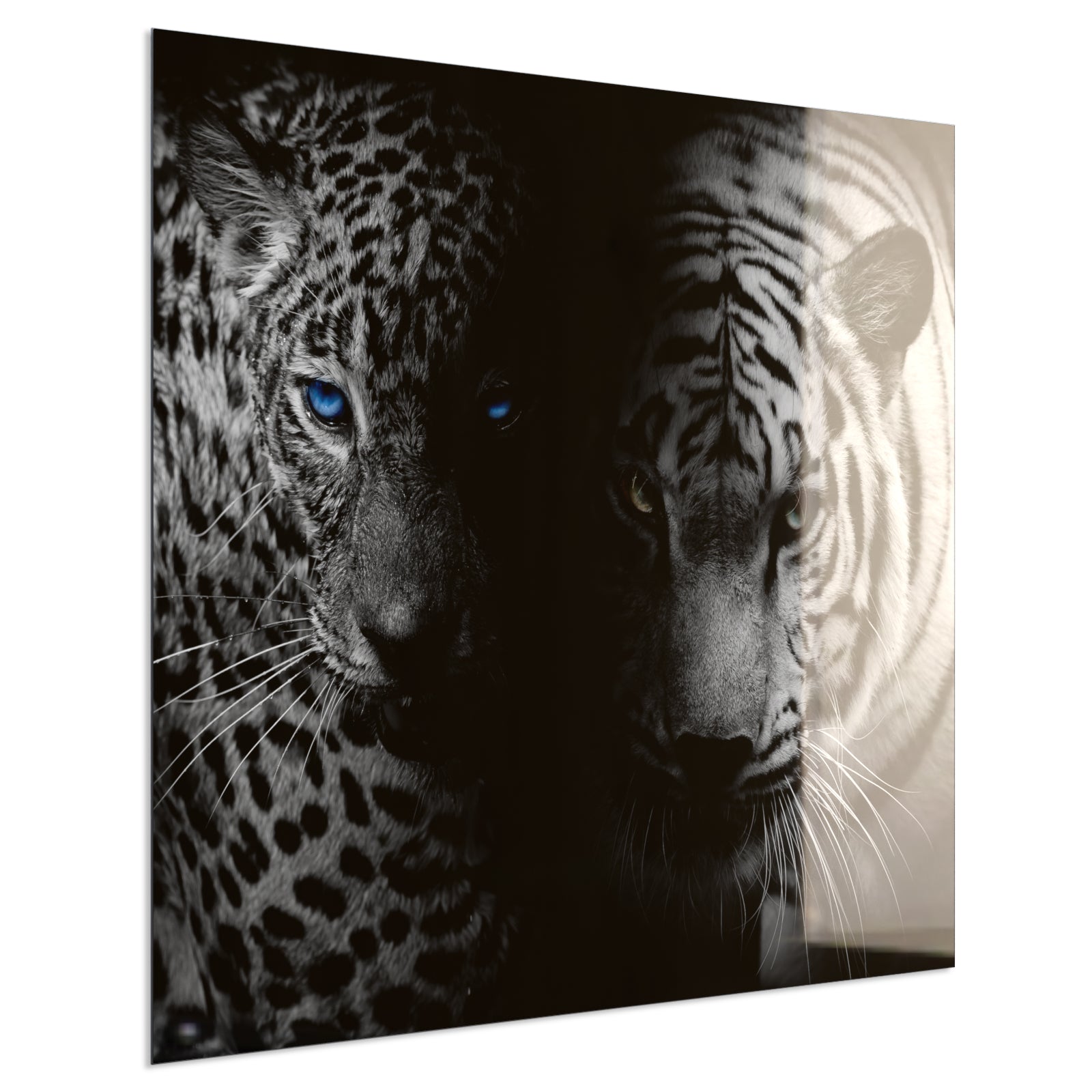 Deko Glas Wandbild Motiv 006 Leopard und Tiger