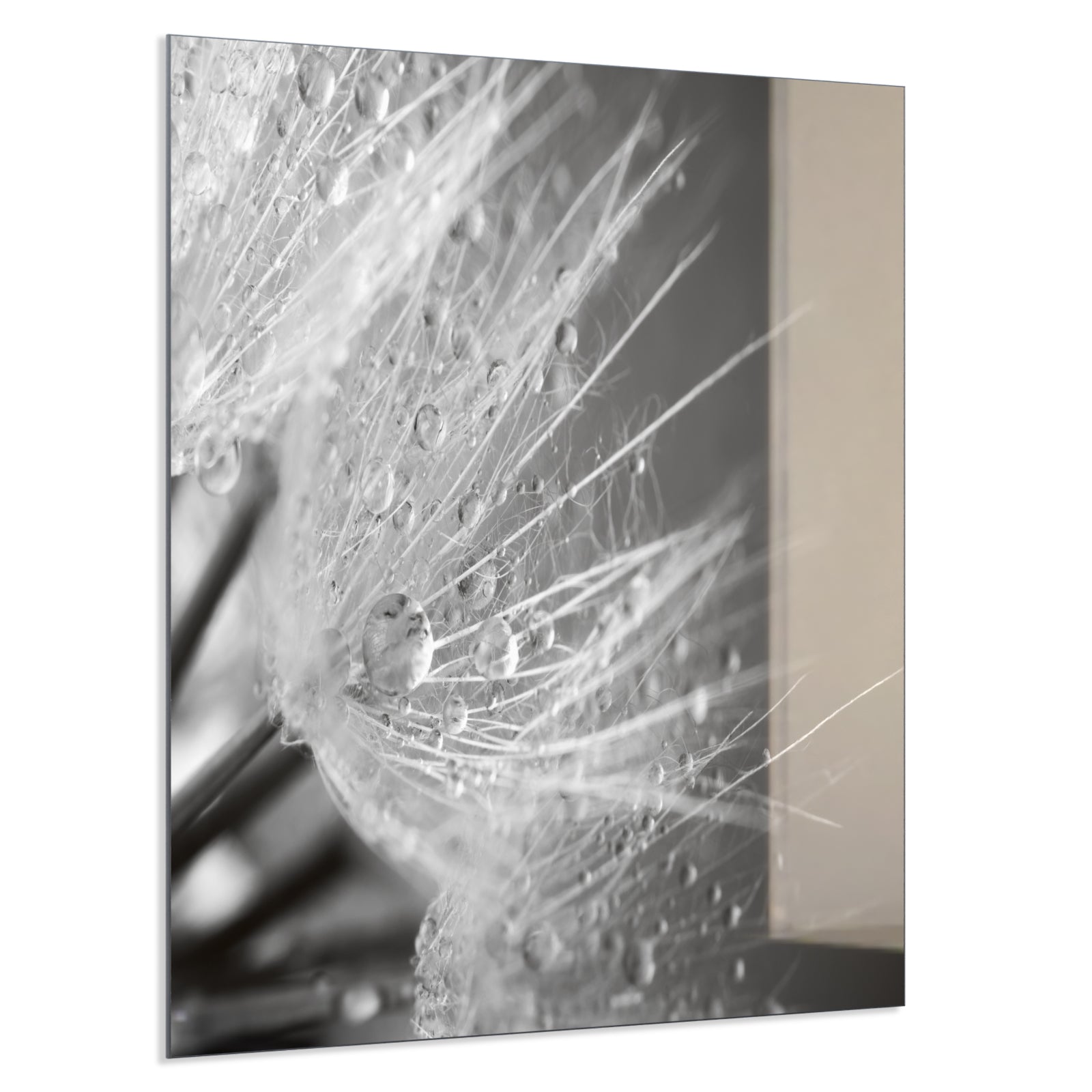 Deko Glas Wandbild Motiv 063 Löwenzahn