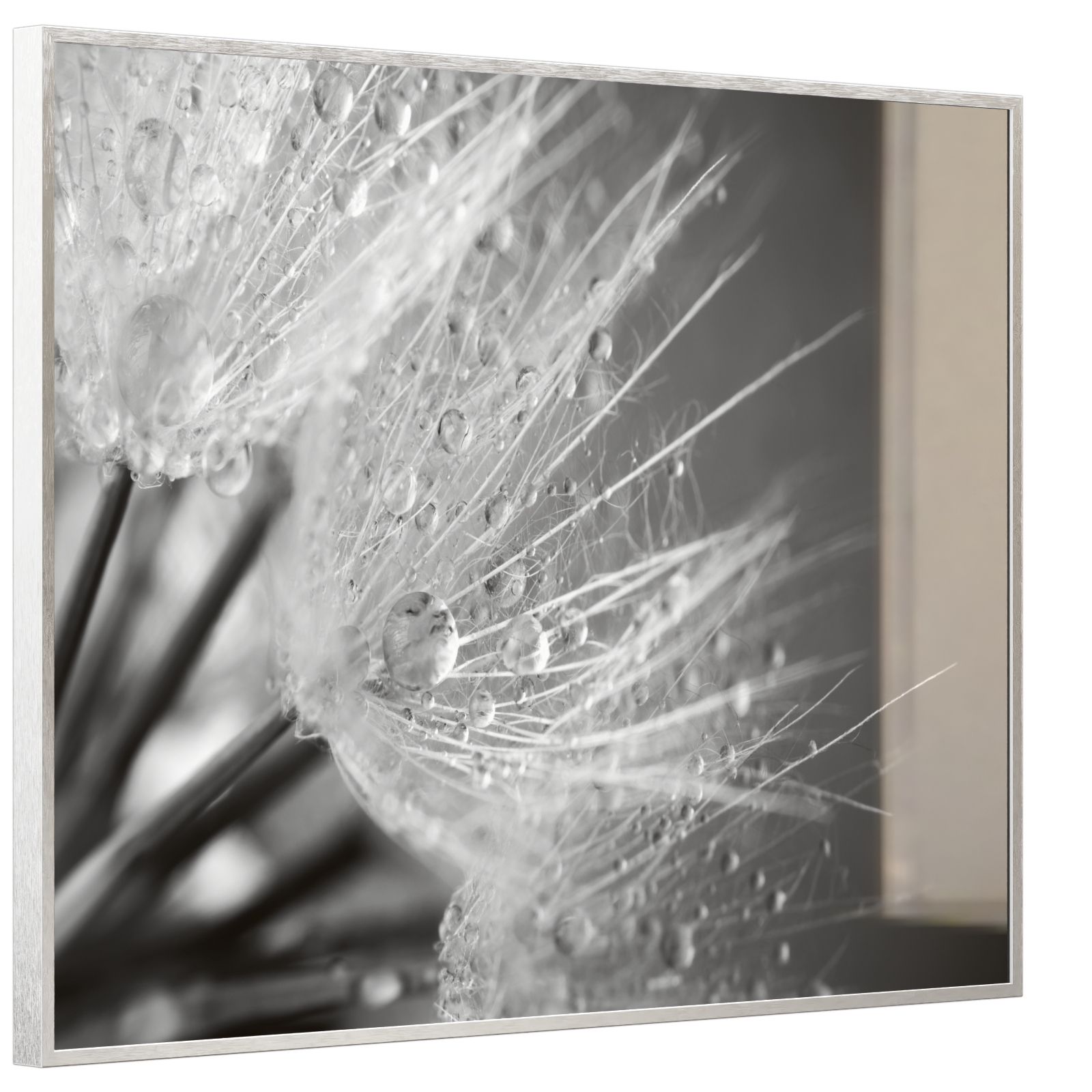 Deko Glas Wandbild Motiv 063 Löwenzahn