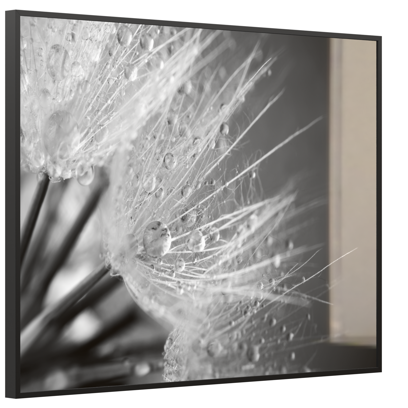 Deko Glas Wandbild Motiv 063 Löwenzahn