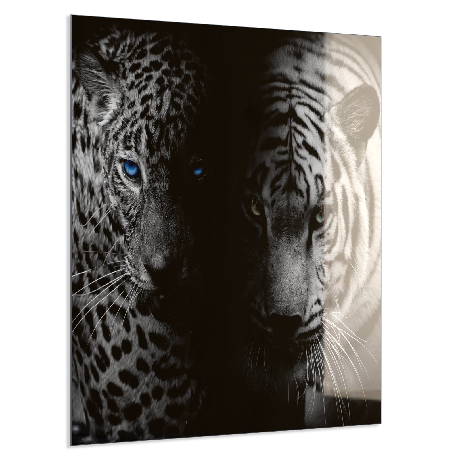 Deko Glas Wandbild Motiv 006 Leopard und Tiger