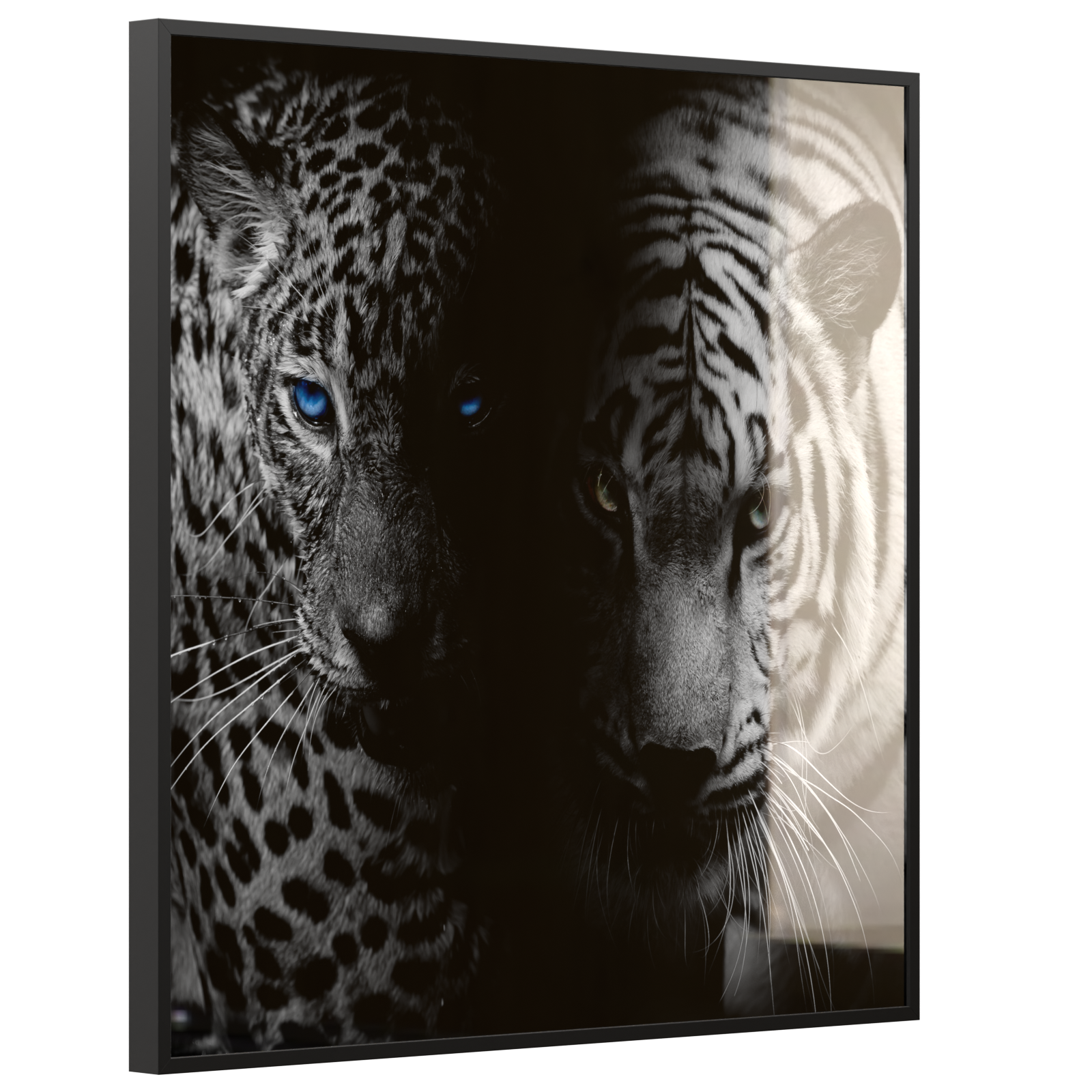 Deko Glas Wandbild Motiv 006 Leopard und Tiger