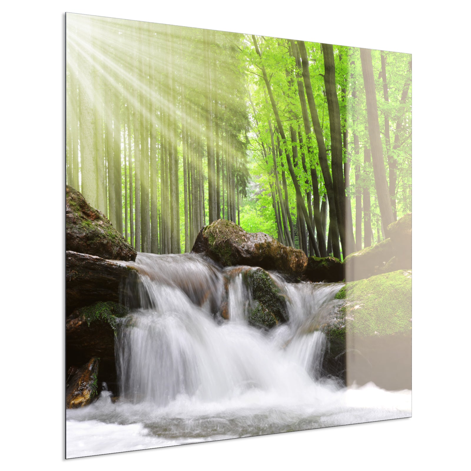 Deko Glas Wandbild Motiv 065 Wasserfall Wald