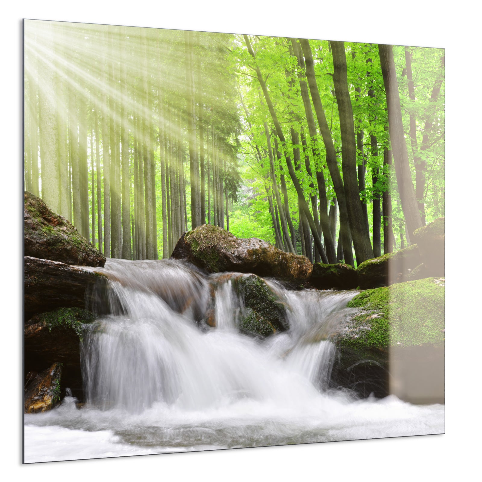 Deko Glas Wandbild Motiv 065 Wasserfall Wald