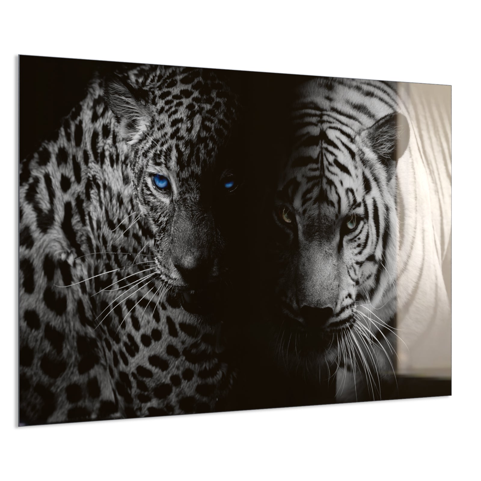 Deko Glas Wandbild Motiv 006 Leopard und Tiger