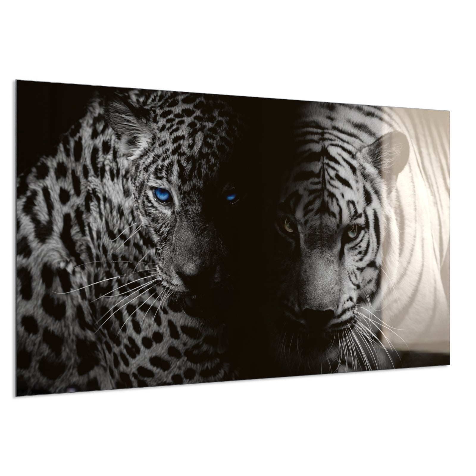 Deko Glas Wandbild Motiv 006 Leopard und Tiger