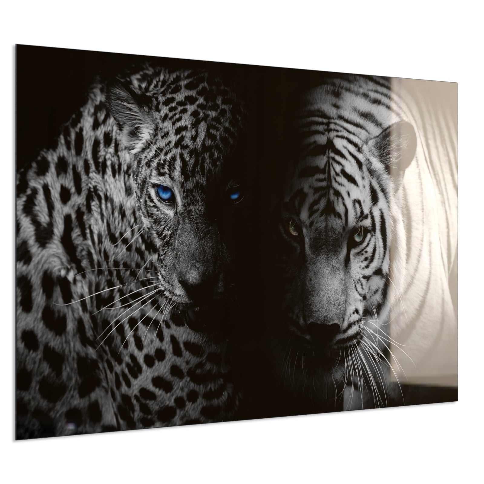 Deko Glas Wandbild Motiv 006 Leopard und Tiger