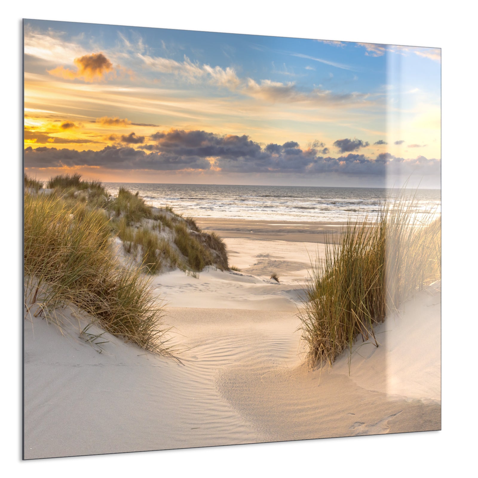 Deko Glas Wandbild Motiv 073 Sanddünen