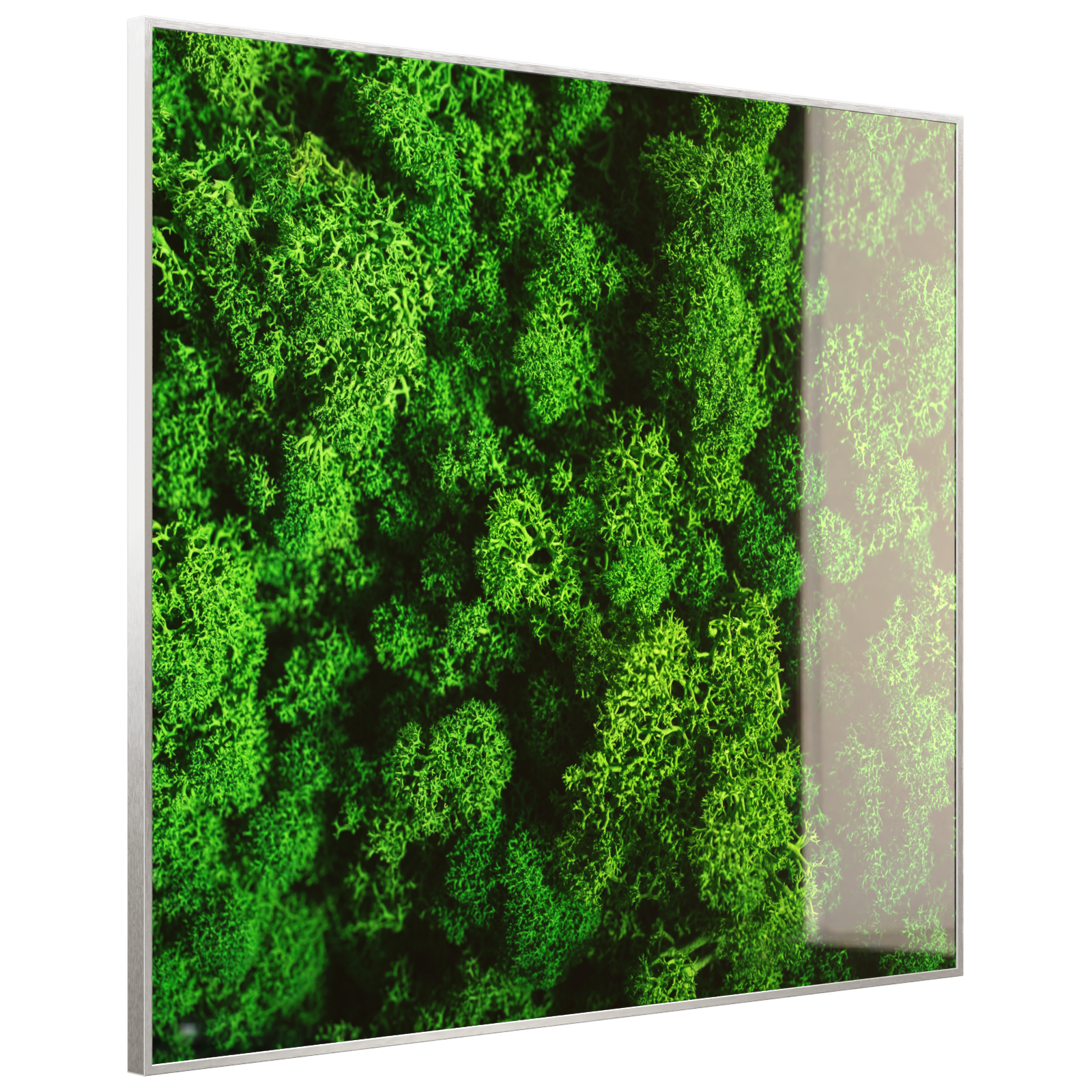 Deko Glas Wandbild Motiv 074 Moos