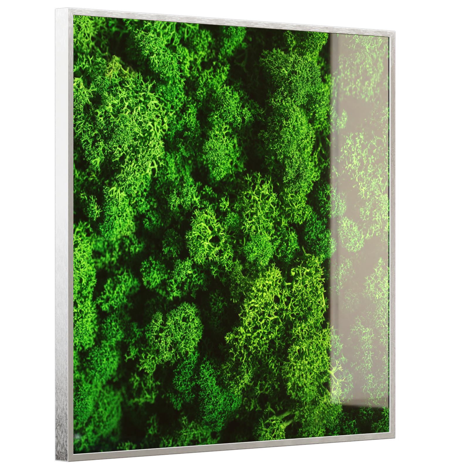 Deko Glas Wandbild Motiv 074 Moos