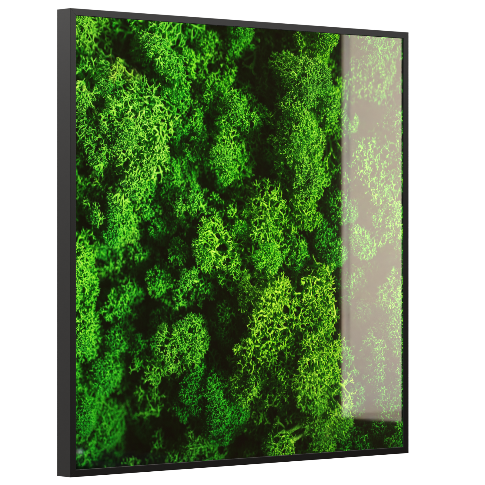 Deko Glas Wandbild Motiv 074 Moos