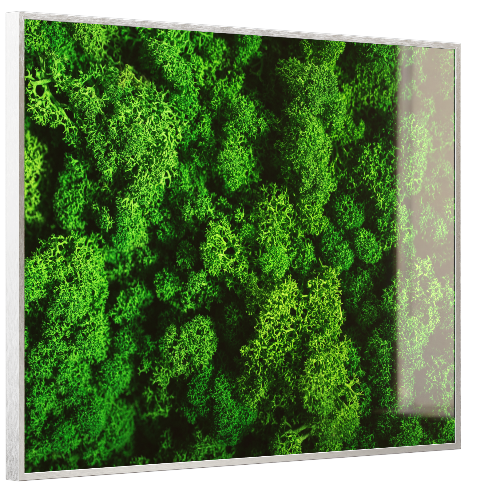 Deko Glas Wandbild Motiv 074 Moos