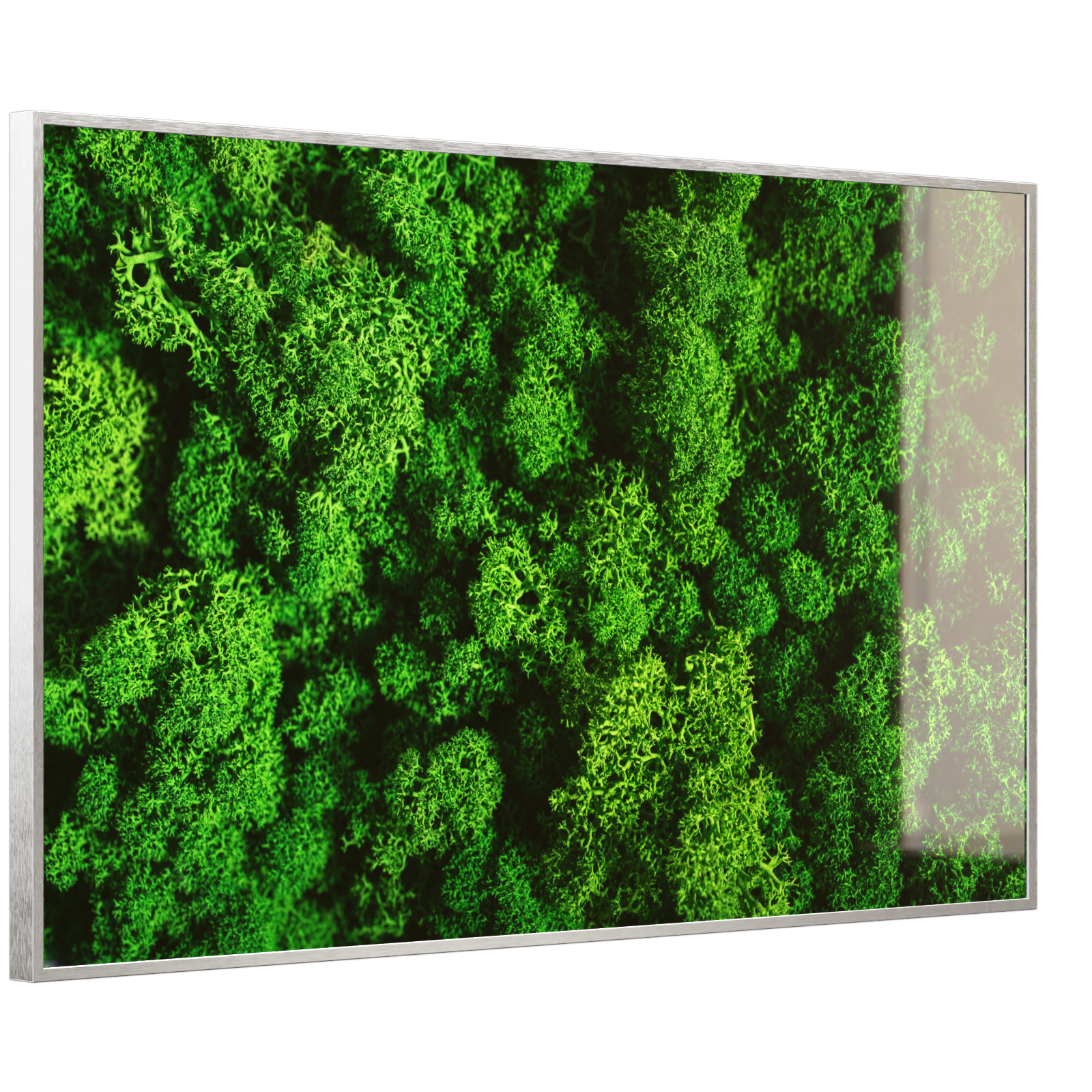 Deko Glas Wandbild Motiv 074 Moos