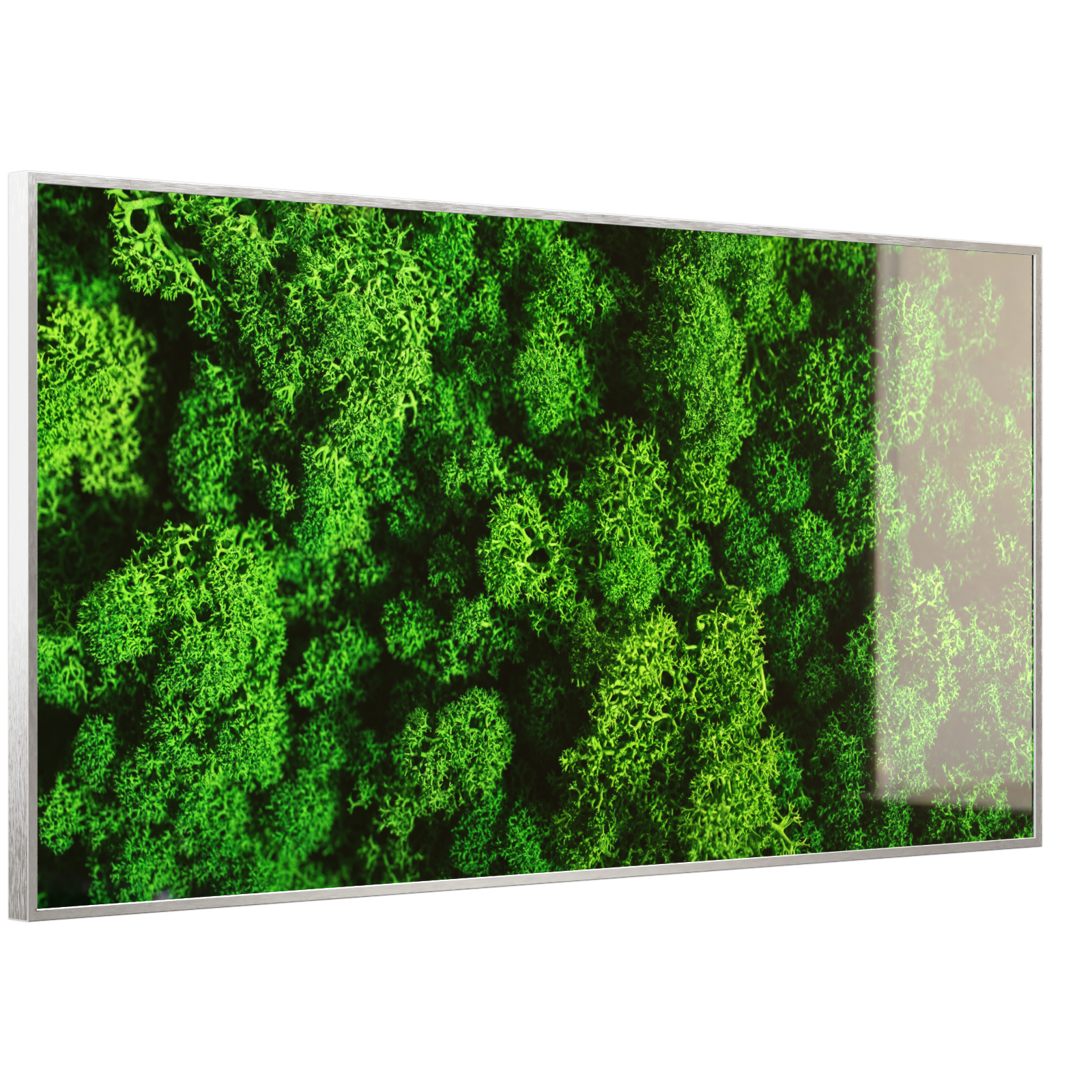 Deko Glas Wandbild Motiv 074 Moos