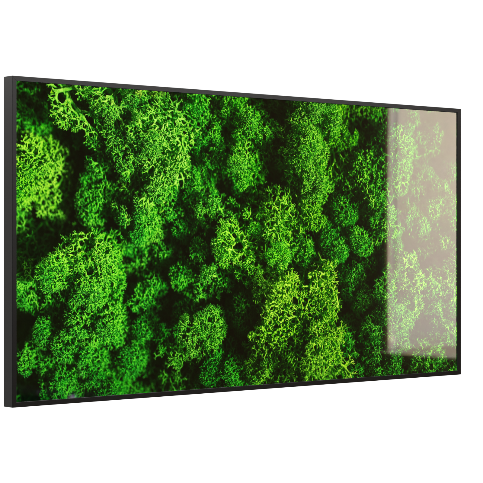 Deko Glas Wandbild Motiv 074 Moos