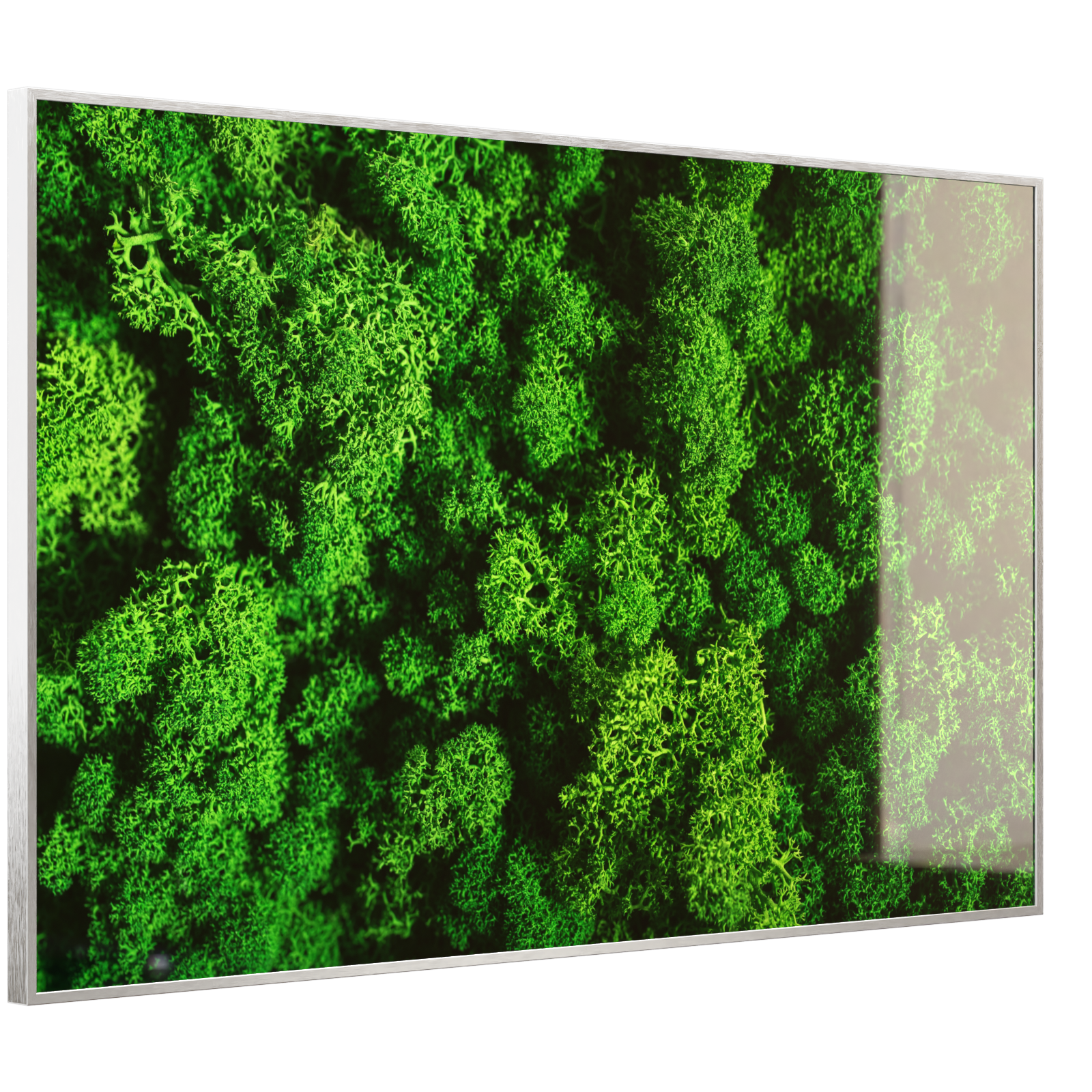 Deko Glas Wandbild Motiv 074 Moos