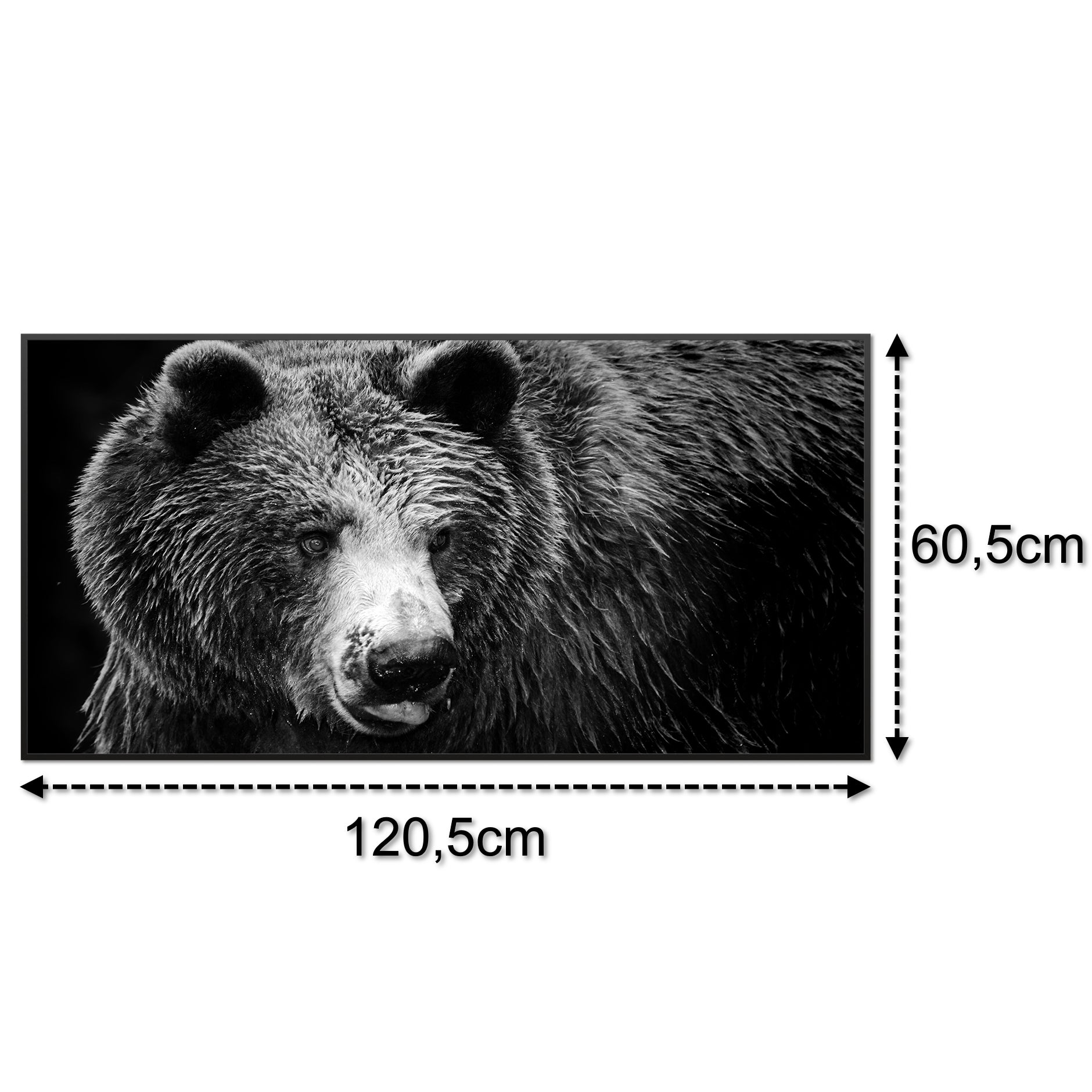 Bild Infrarotheizung B-Ware 750W 038 Schwarz