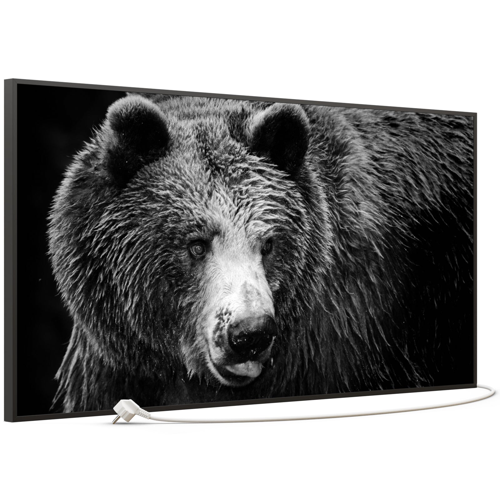 Bild Infrarotheizung B-Ware 750W 038 Schwarz