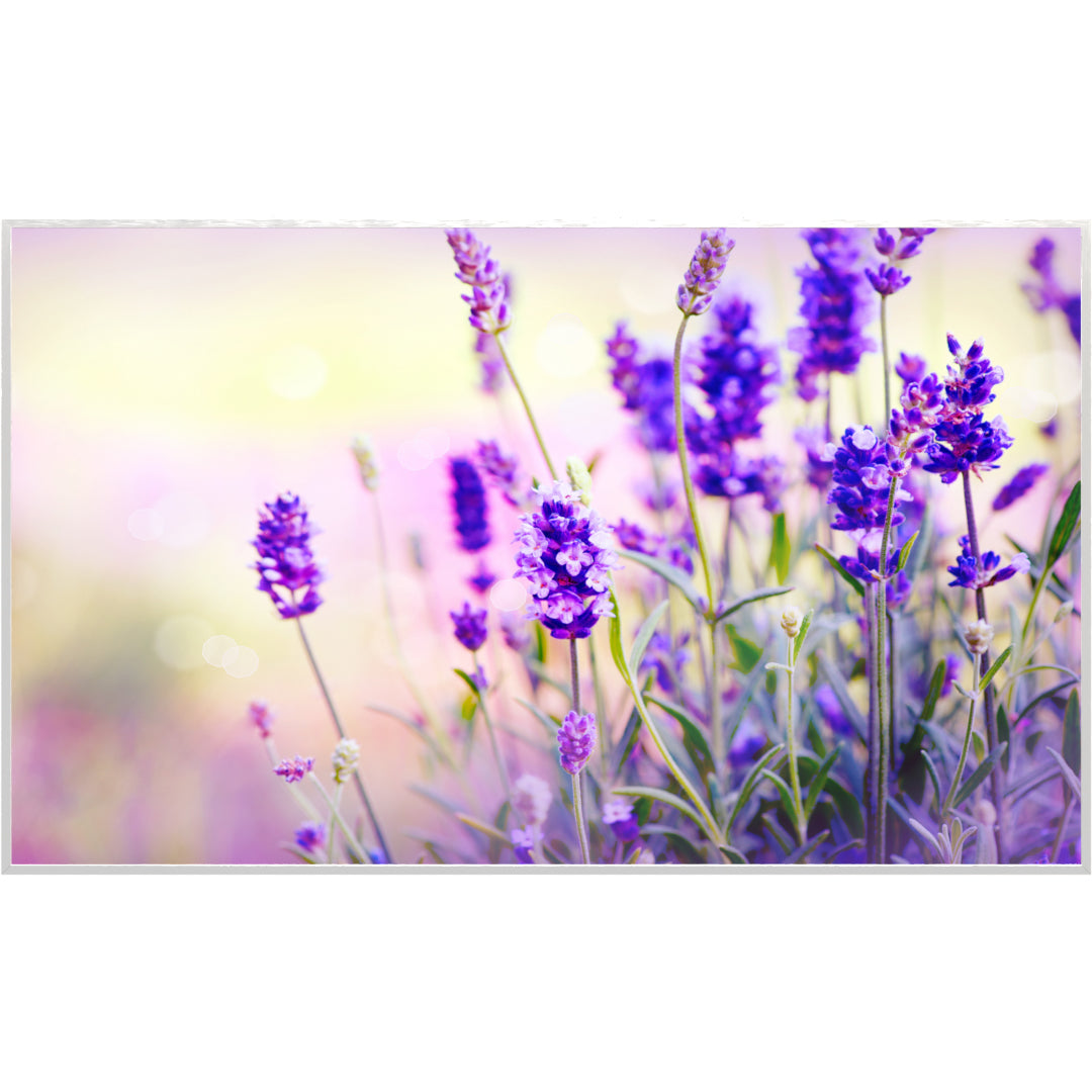 Glas Infrarotheizung 350-1200W Motiv 061 Lavendel
