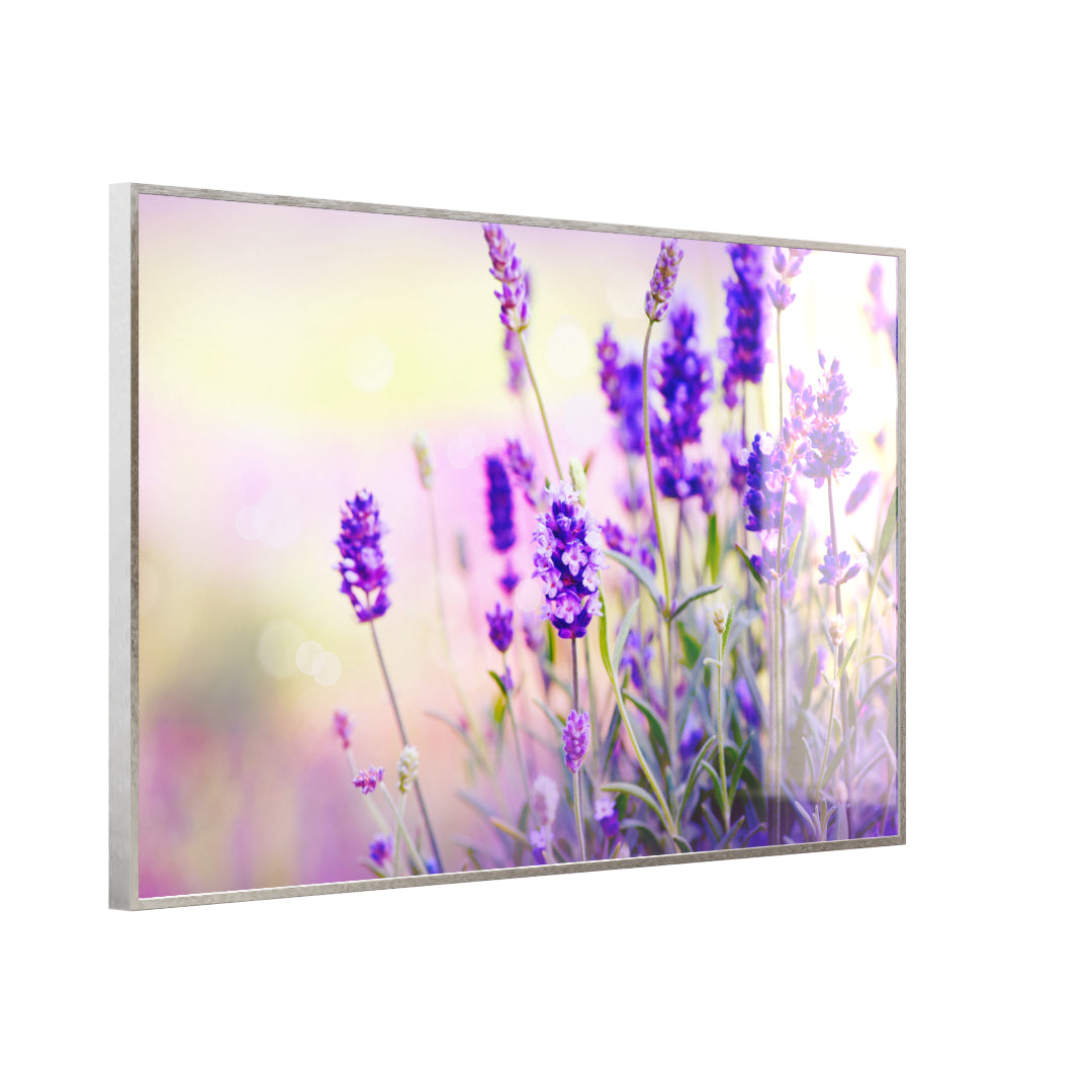 Glas Infrarotheizung 350-1200W Motiv 061 Lavendel