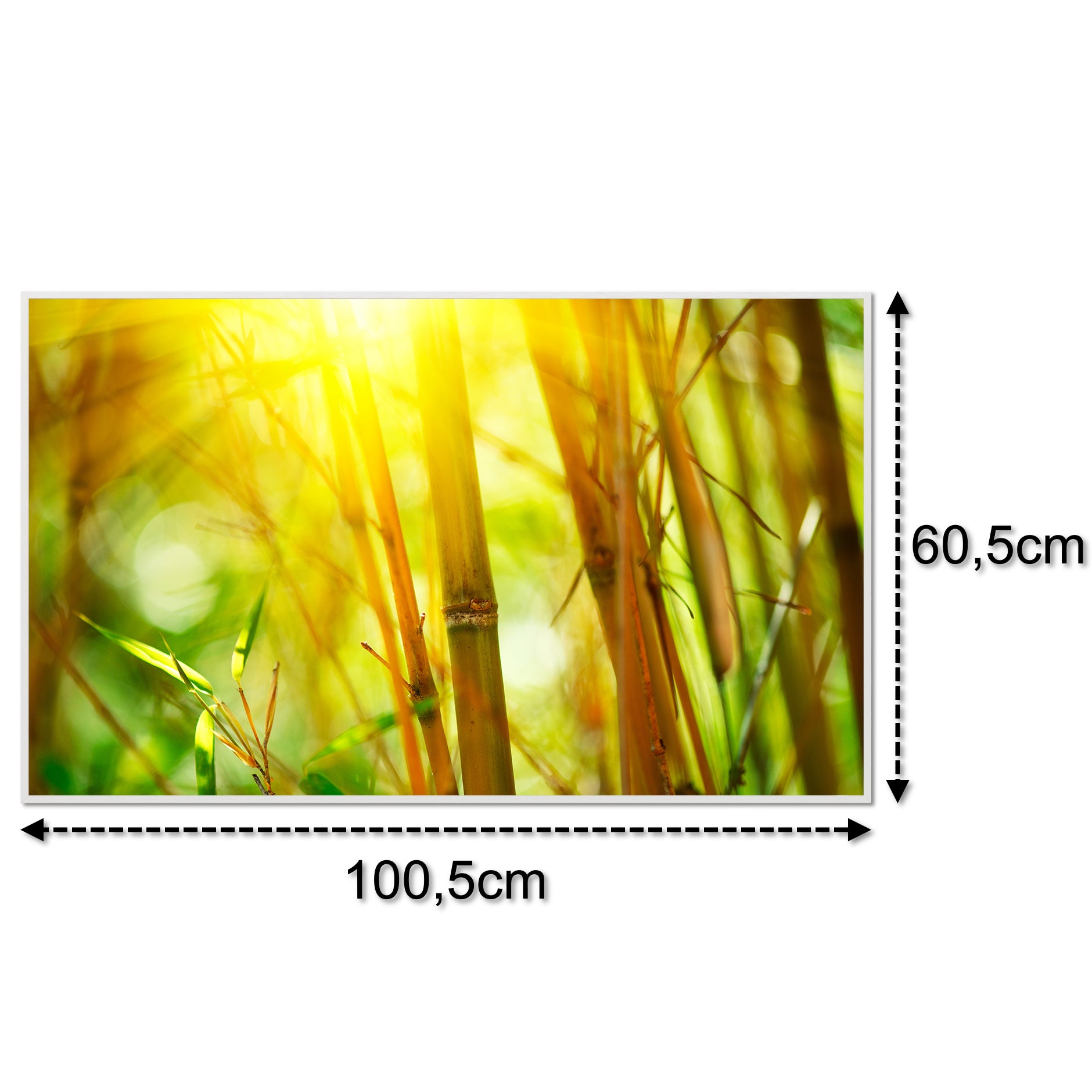 Glas Infrarotheizung 600W 062 Silber