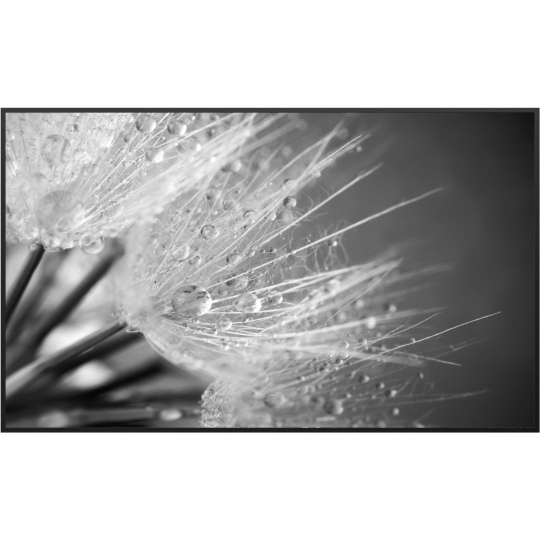 Glas Infrarotheizung 350-1200W Motiv 063 Löwenzahn