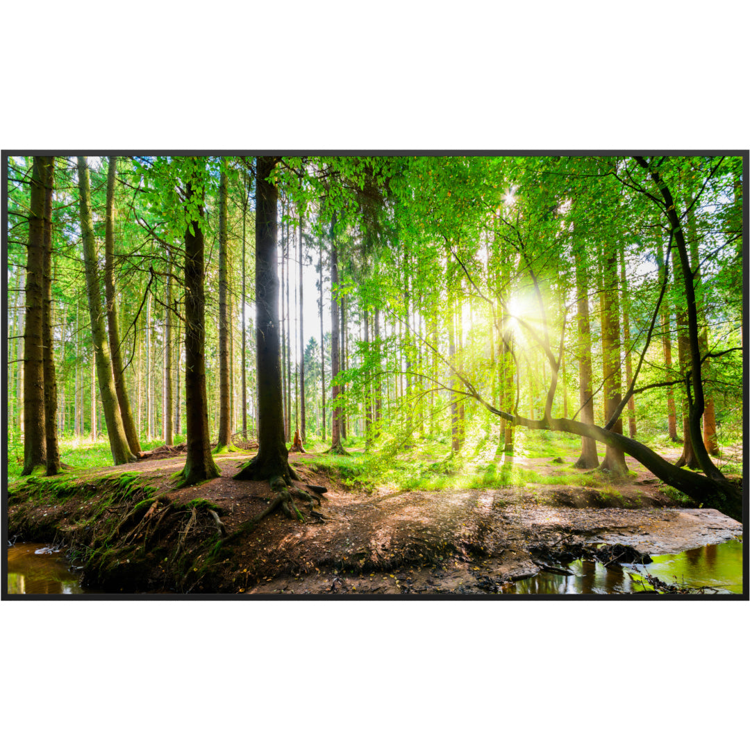 Glas Infrarotheizung 350-1200W Motiv 067 Wald Panorama