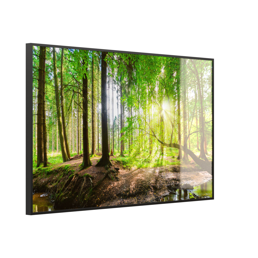 Glas Infrarotheizung 350-1200W Motiv 067 Wald Panorama