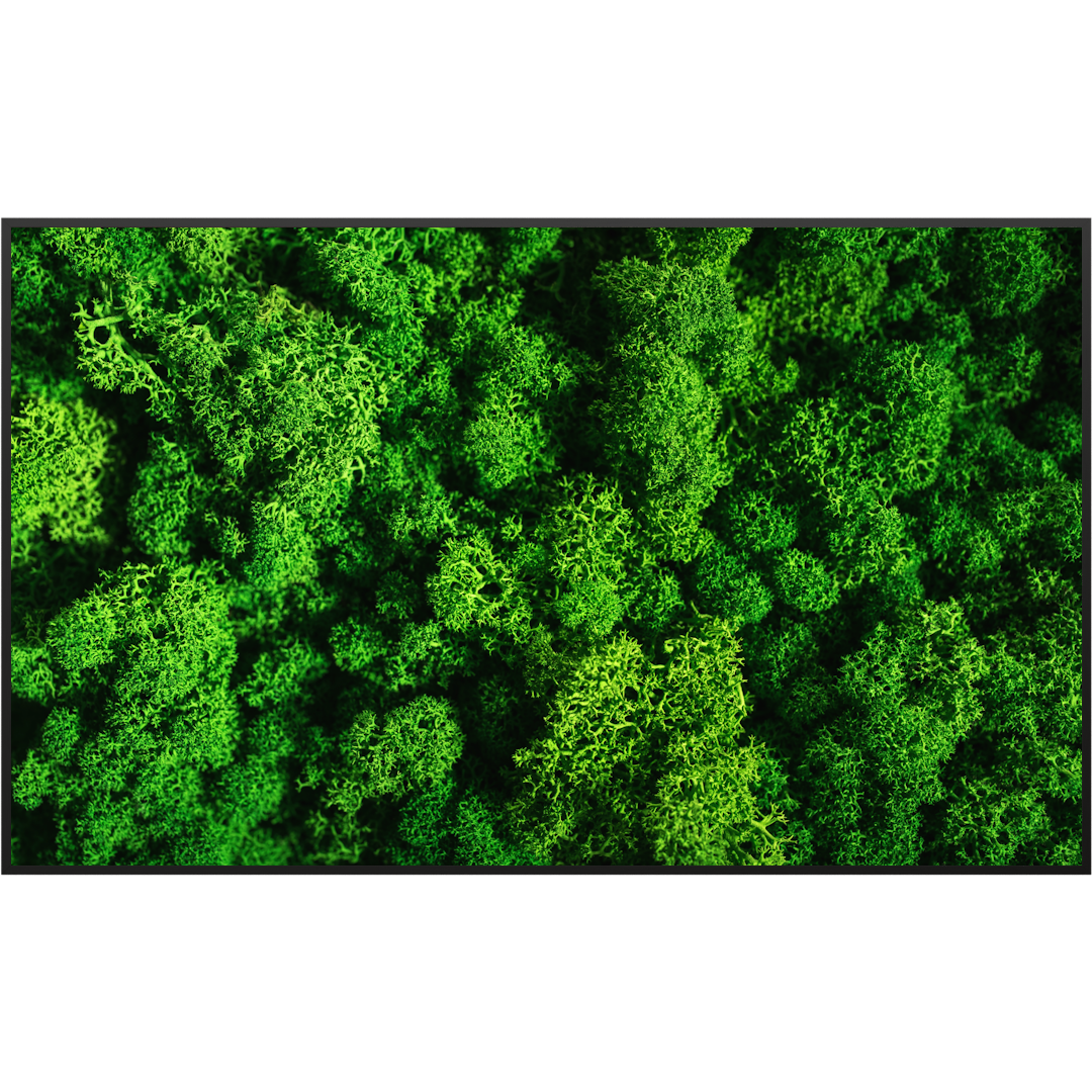 Deko Glas Wandbild Motiv 074 Moos