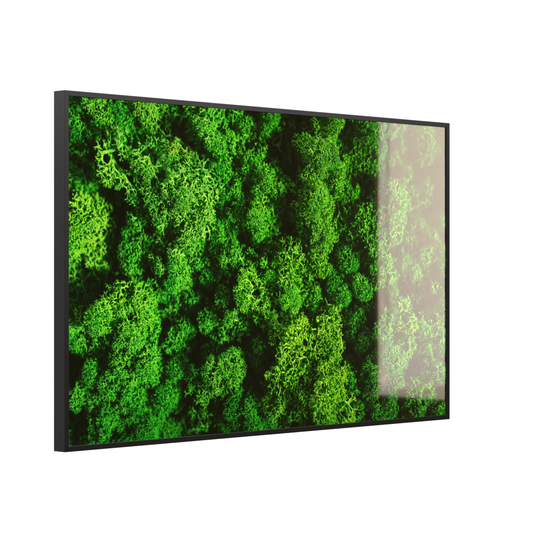 Deko Glas Wandbild Motiv 074 Moos