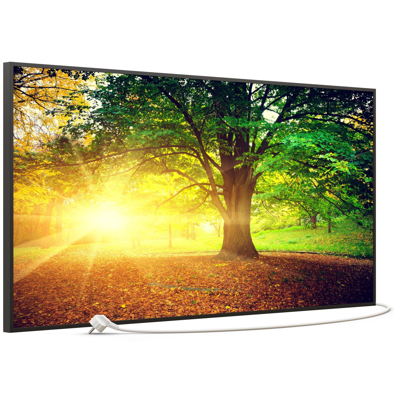 Bild Infrarotheizung B-Ware 750W B39