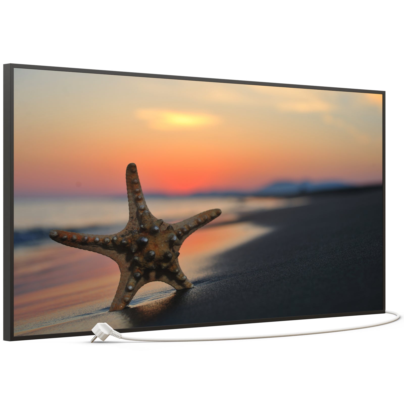 Bild Infrarotheizung B-Ware 750W B06