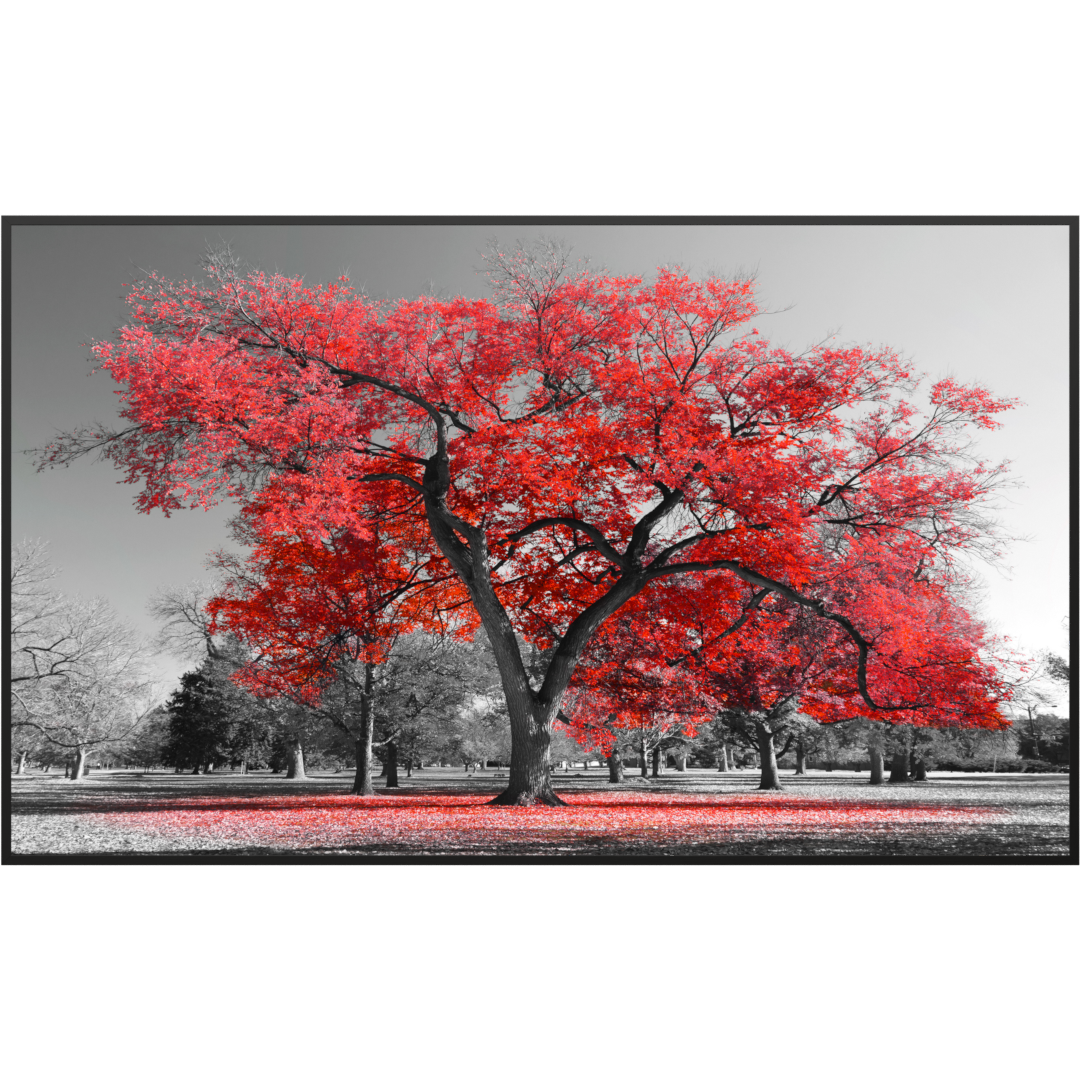Deko Glas Wandbild Motiv 010 roter Baum