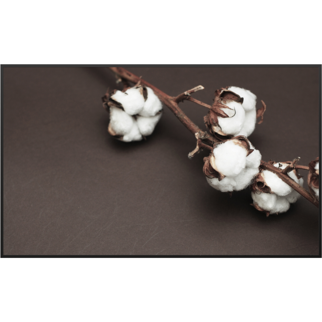 Deko Glas Wandbild Motiv 020 Baumwollpflanze